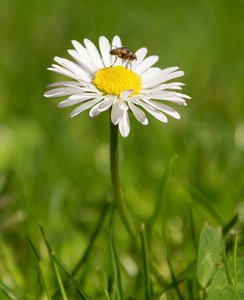 comp_DSC_0759 - Kopie.jpg