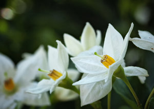 Stack 02 - fertig.jpg