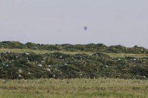 SKF DSC02645  Nex 5r + Tair 4,5 300mm joke (c) PPf.jpg