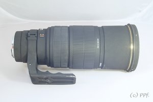 Forum DSC01107 (c) PPf.jpg Forum DSC01107 (c) PPf.jpg