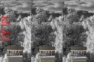 2014_05_03_SD15_IR_Takumar_55mm_Fokustest_100Prozent.jpg