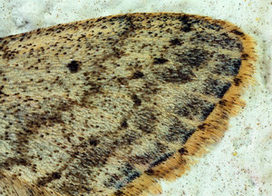 Stack 02.jpg Stack 02.jpg