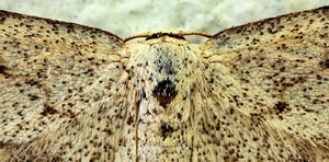 Stack 03.jpg Stack 03.jpg