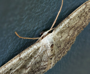 Stack 04.jpg Stack 04.jpg