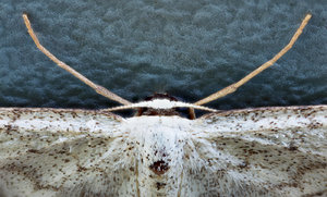 Stack 05.jpg Stack 05.jpg