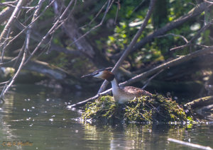 IMG_7993.jpg IMG_7993.jpg