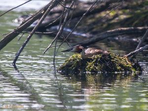 IMG_8004.jpg IMG_8004.jpg