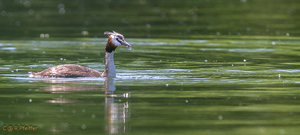 IMG_8025.jpg IMG_8025.jpg