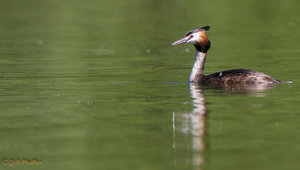 IMG_8059.jpg IMG_8059.jpg