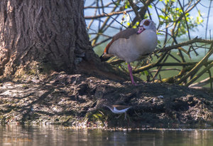 IMG_7955.jpg IMG_7955.jpg