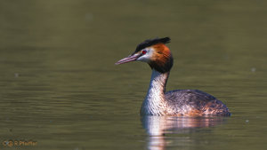 IMG_8035.jpg IMG_8035.jpg