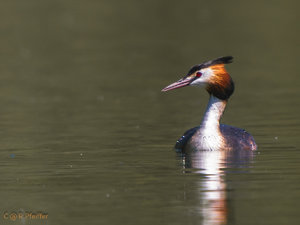 IMG_8051.jpg IMG_8051.jpg