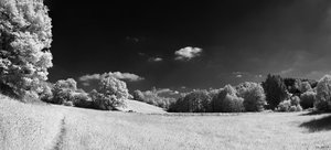 500k_SDIM8480 Panorama.jpg