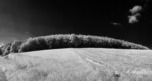 500k_SDIM8550 Panorama.jpg