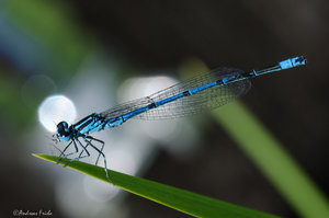 D7K_3977.jpg D7K_3977.jpg