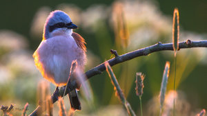 IMG_8861.jpg IMG_8861.jpg