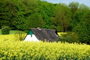 Im Raps versteckt.jpg