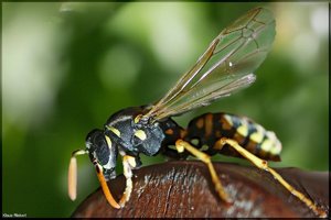 Bild - 7.jpg Bild - 7.jpg