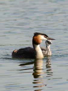 comp_DSC_2755.jpg comp_DSC_2755.jpg