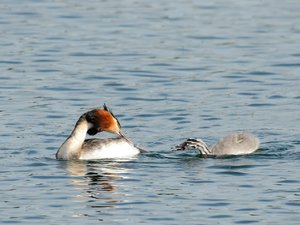 comp_DSC_2802.jpg comp_DSC_2802.jpg