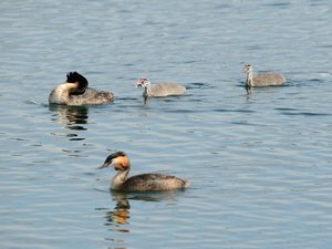 comp_DSC_2807.jpg comp_DSC_2807.jpg