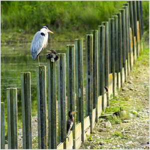 ReiKo_4774.jpg ReiKo_4774.jpg