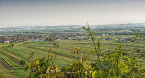 Landschaft doge Burn.jpg