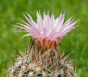 comp_DSC_0817.jpg comp_DSC_0817.jpg