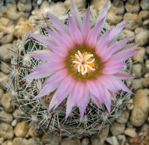 comp_DSC_0819.jpg comp_DSC_0819.jpg