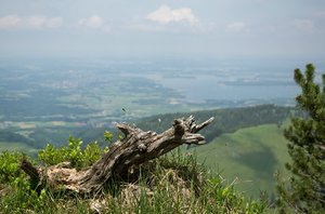 comp_DSC_0829.jpg comp_DSC_0829.jpg