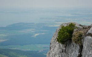 comp_DSC_0832.jpg comp_DSC_0832.jpg