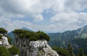 comp_DSC_0834.jpg comp_DSC_0834.jpg