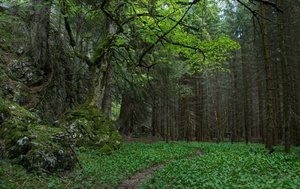 comp_DSC_0839.jpg comp_DSC_0839.jpg