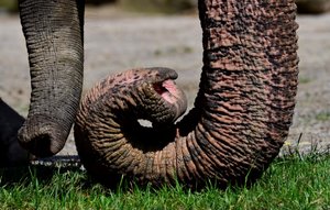 DSC_2525_bearbeitet-1 (Medium).jpg