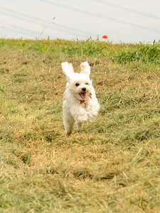 DSC_0723_01.JPG DSC_0723_01.JPG