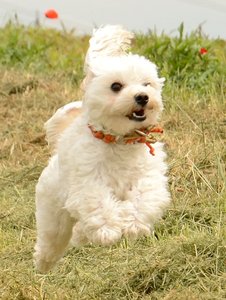 DSC_0724.JPG DSC_0724.JPG