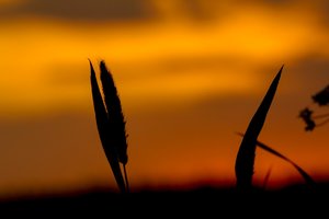 _MG_7814 (Andere).jpg