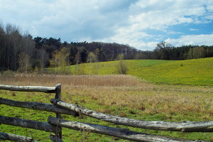 2012_04_22_SD9_Chorin_ChampignonKuhWiese_0004_1200pix.jpg 2012_04_22_SD9_Chorin_ChampignonKuhWiese_0004_1200pix.jpg