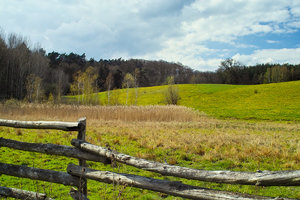 2012_04_22_SD9_Chorin_ChampignonKuhWiese_0004_SPP55_1M5Y_2014_1200x800pix.jpg 2012_04_22_SD9_Chorin_ChampignonKuhWiese_0004_SPP55_1M5Y_2014_1200x800pix.jpg