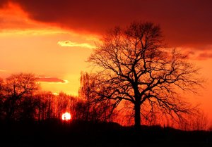 P1040832 (Medium).jpg