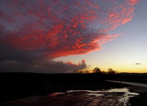 P1140840 (Large).jpg