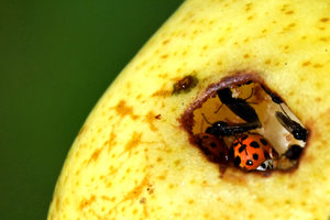 Besuch in der Birne.jpeg