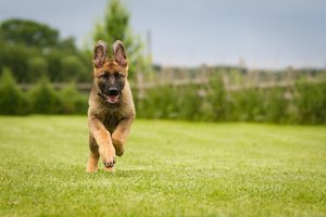 comp__MG_1309-Bearbeitet-Bearbeitet.jpg comp__MG_1309-Bearbeitet-Bearbeitet.jpg