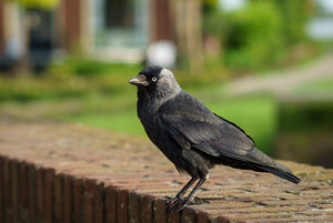 DSC00858-2.jpg DSC00858-2.jpg