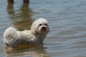 comp_DSC_1524.jpg comp_DSC_1524.jpg