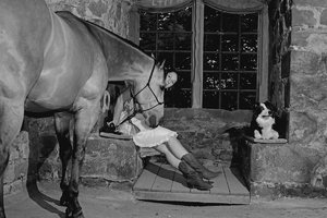 verkl.forumPferd 6.jpg