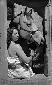 verkl.forumPferd 7.jpg