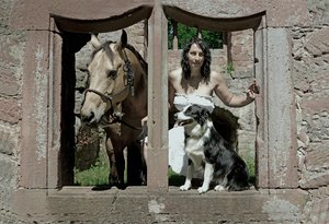 verkl.forumPferd 3.jpg