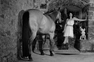 verkl.forumPferd 5.jpg