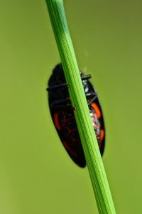 DSC_9222_ji_c.jpg DSC_9222_ji_c.jpg